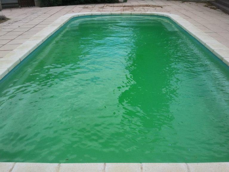 piscine eau verte